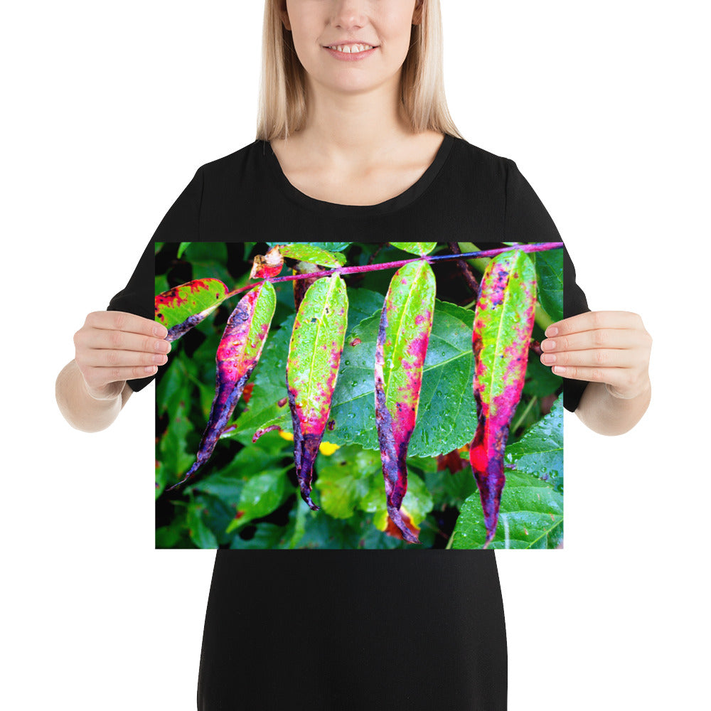 Photo paper poster