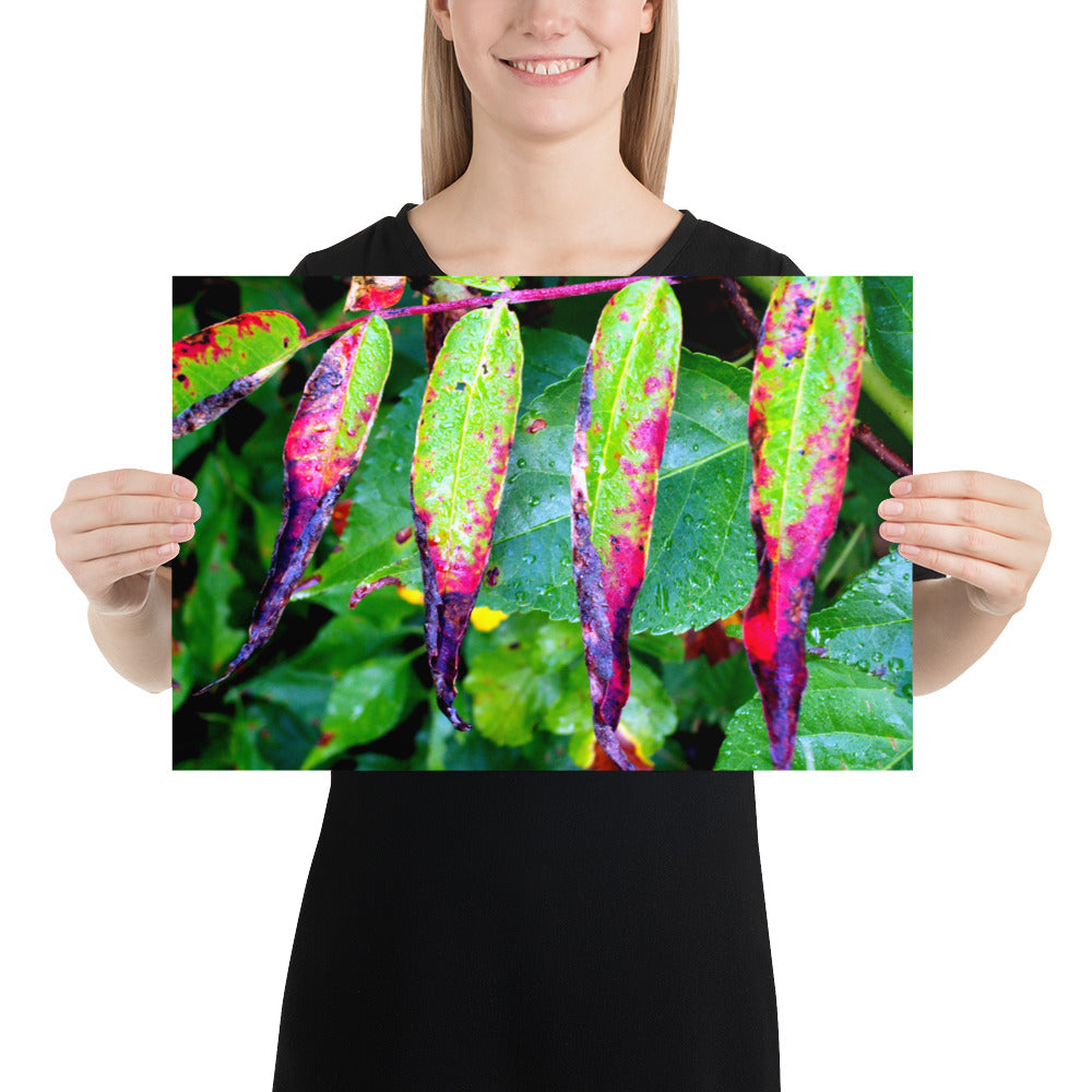 Photo paper poster