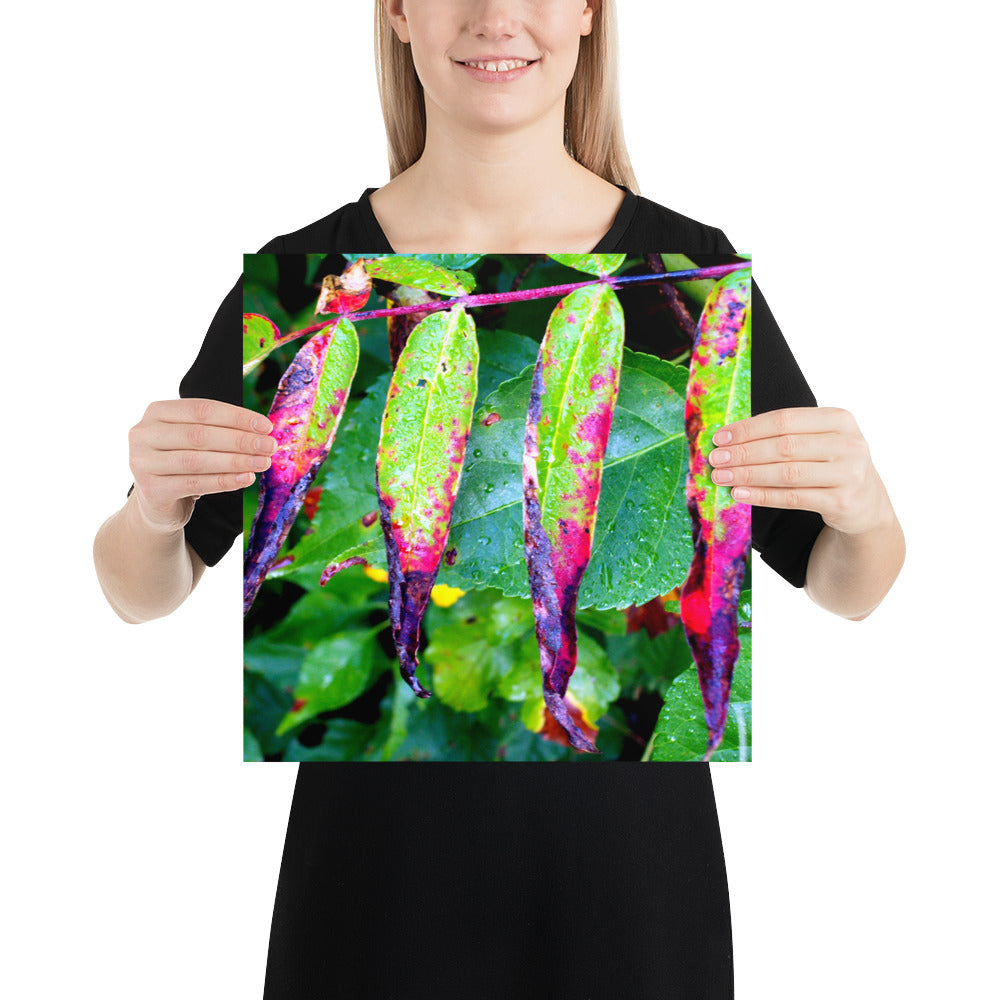Photo paper poster