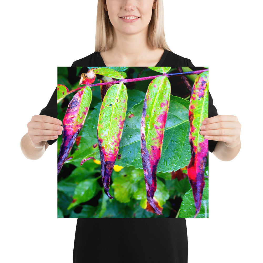 Photo paper poster