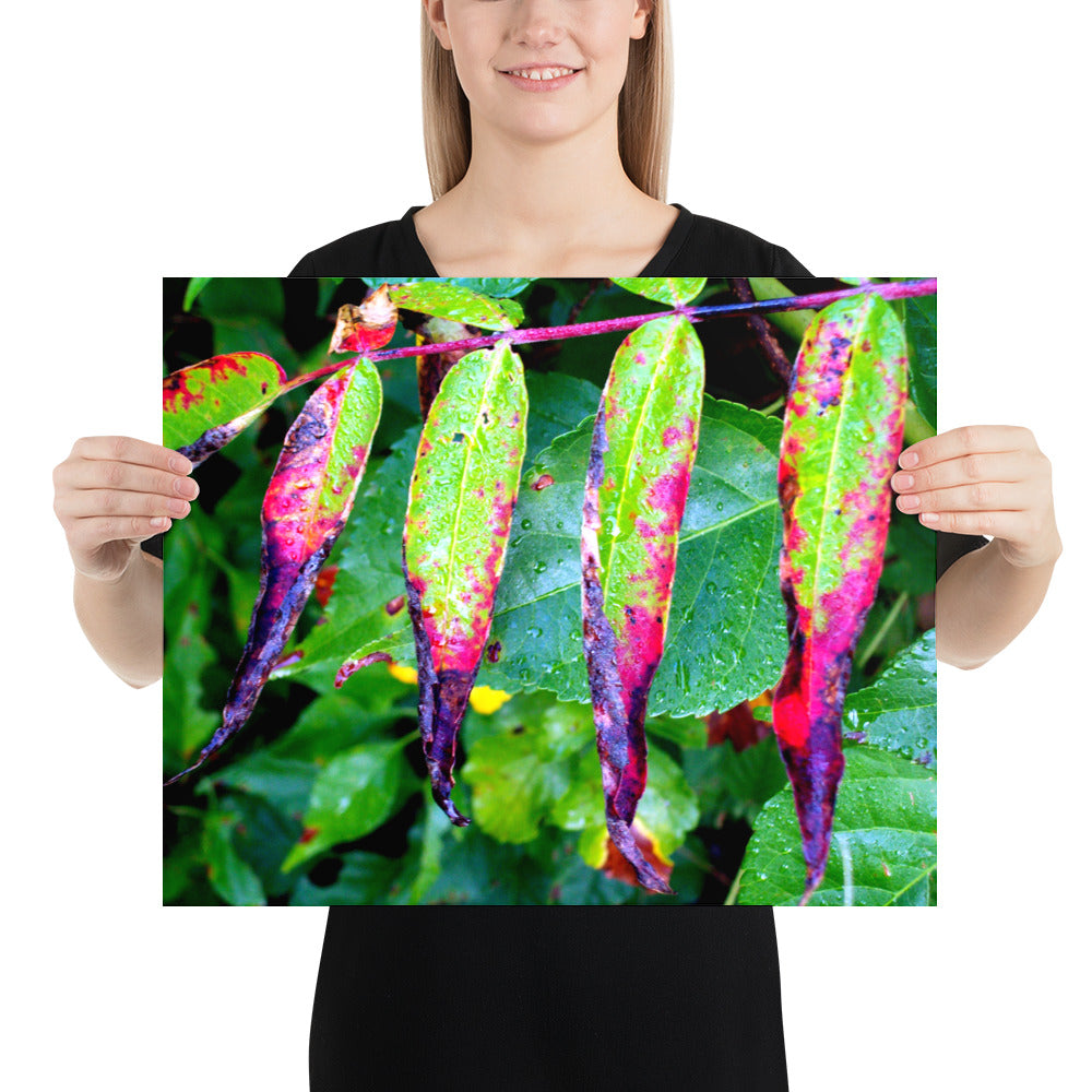 Photo paper poster
