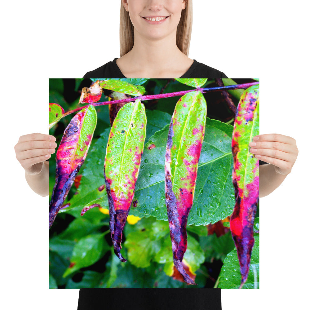 Photo paper poster