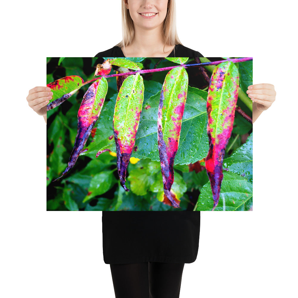 Photo paper poster