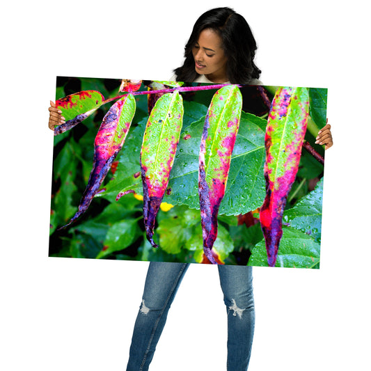 Photo paper poster
