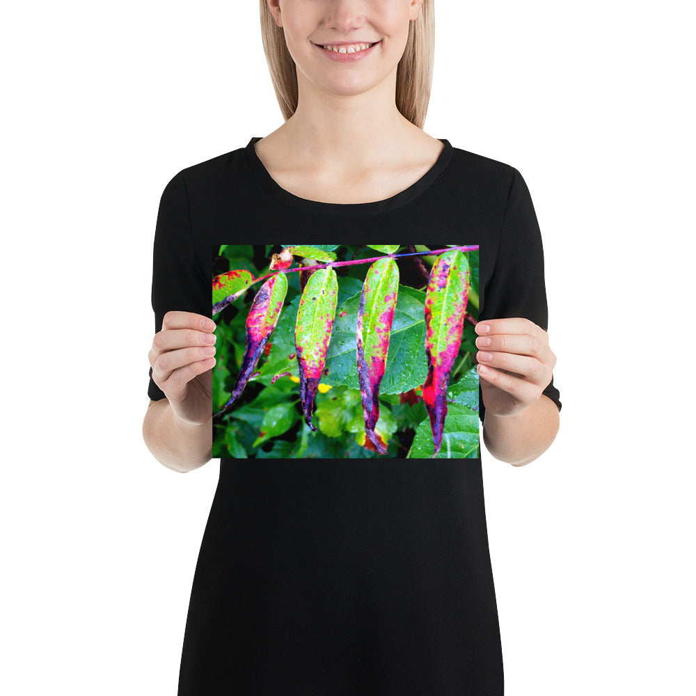 Photo paper poster