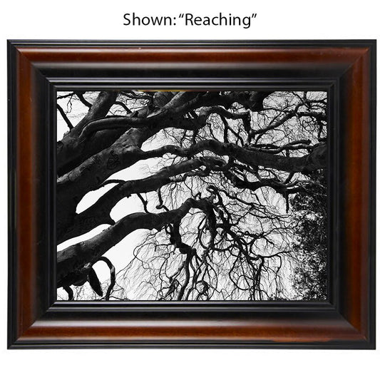 Tree Art Prints - From a Secret Paradise - Brown & Black Wall Frames