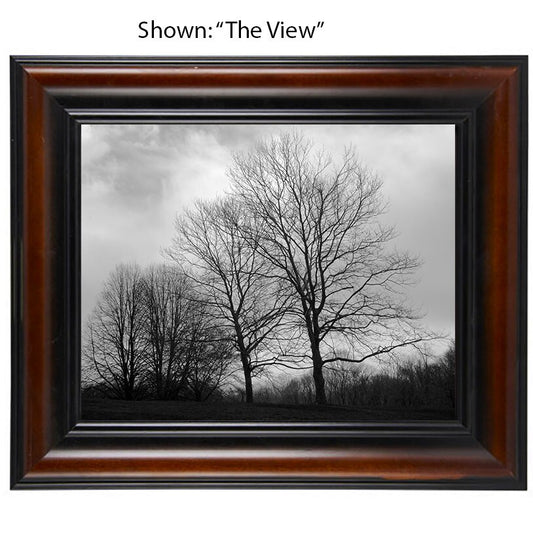 Tree Art Prints - From a Secret Paradise - Brown & Black Wall Frames