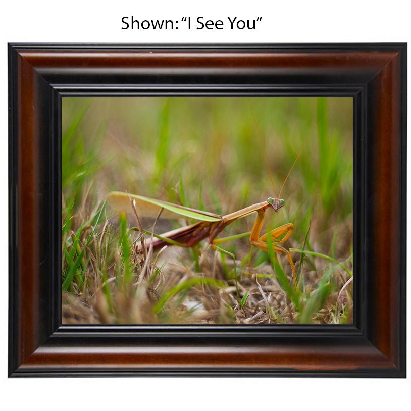 Art Photography - From a Secret Paradise - Cherry Framed Art