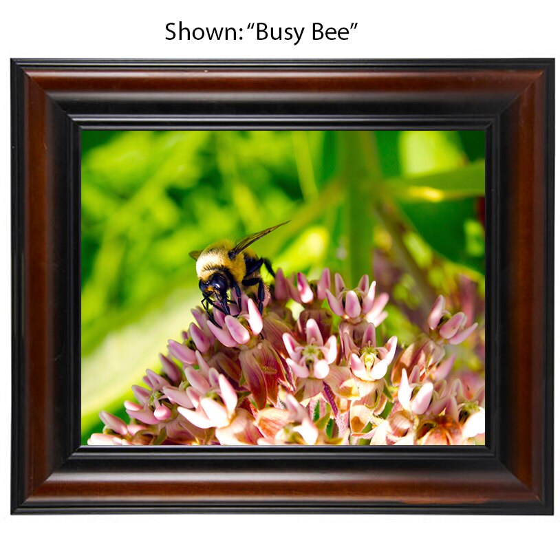 Art Photography - From a Secret Paradise - Cherry Framed Art