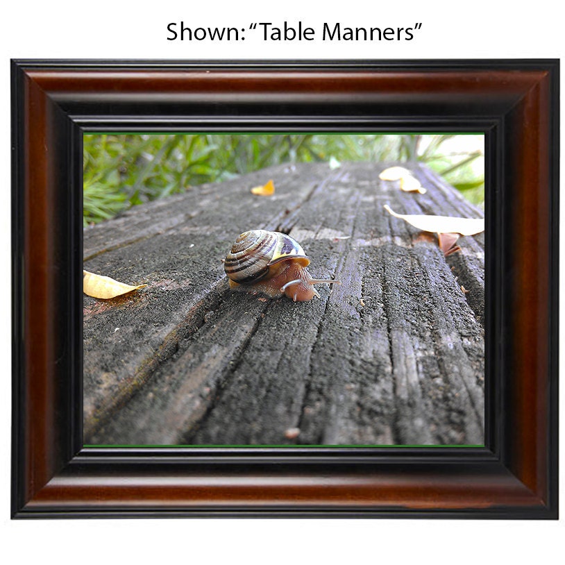 Art Photography - From a Secret Paradise - Cherry Framed Art