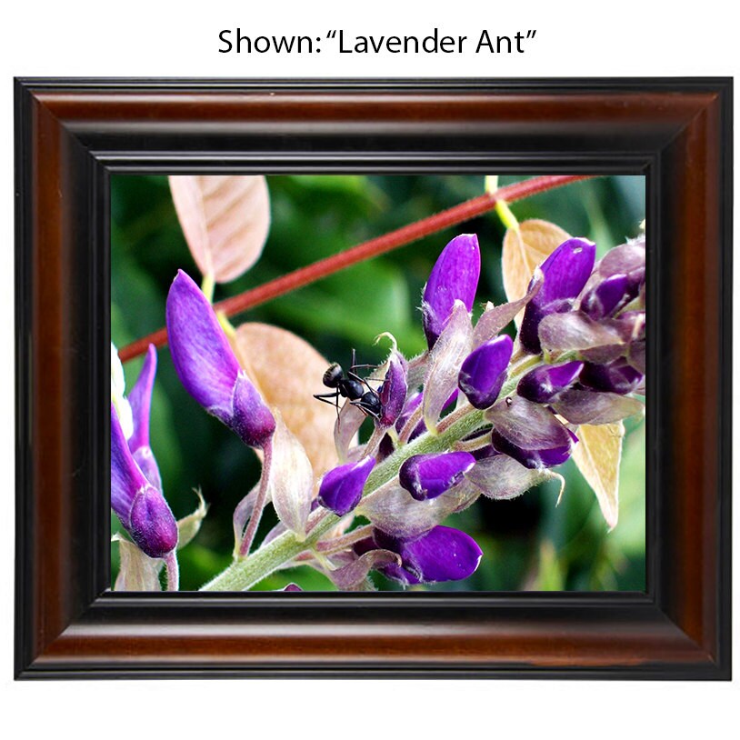 Art Photography - From a Secret Paradise - Cherry Framed Art