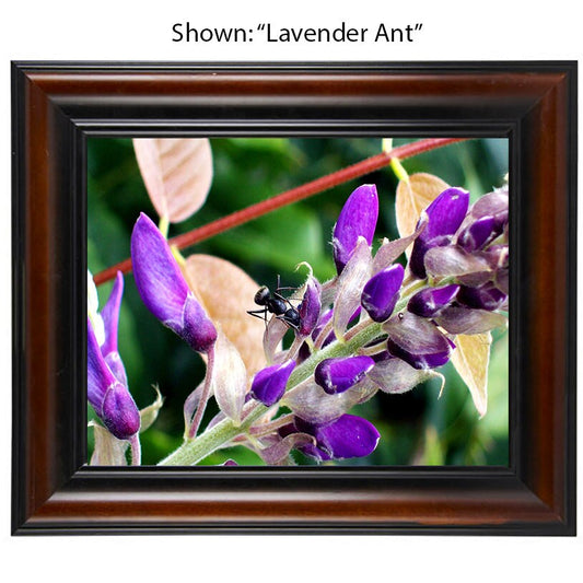 Art Photography - From a Secret Paradise - Cherry Framed Art
