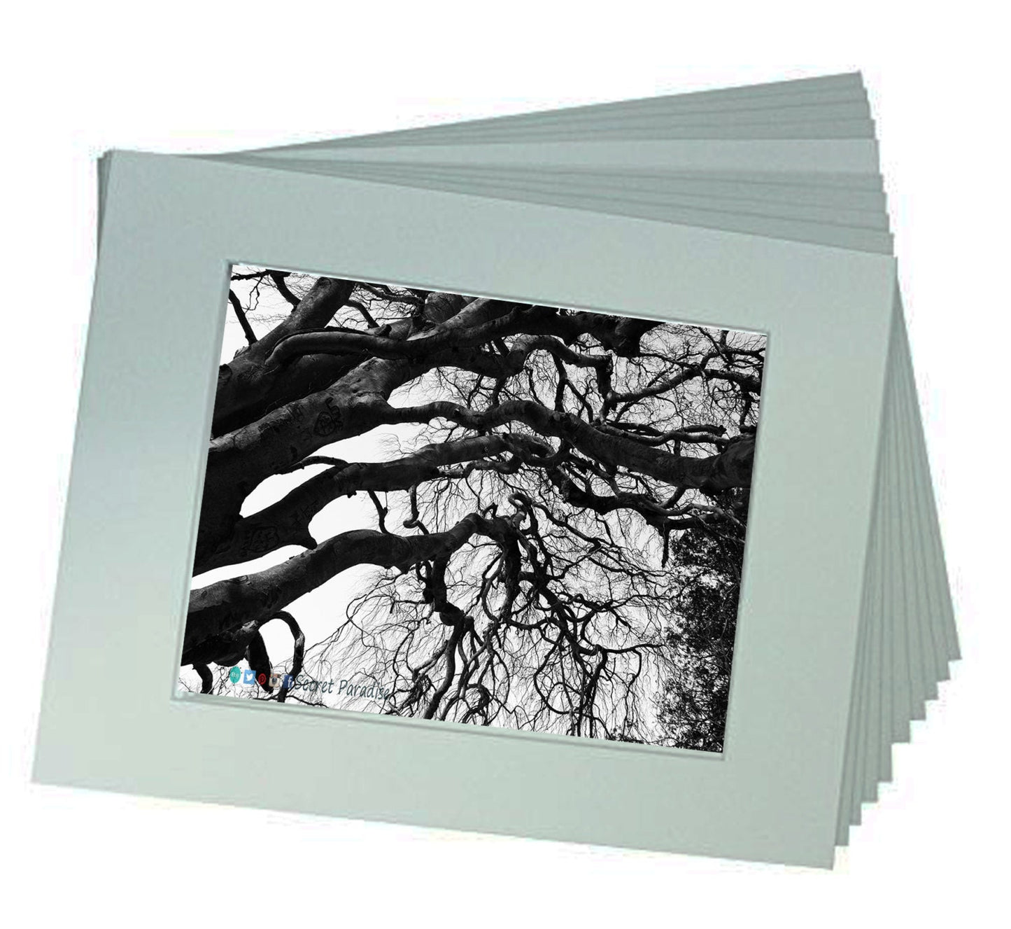 Art Prints -B&W from Secret Paradise Shop