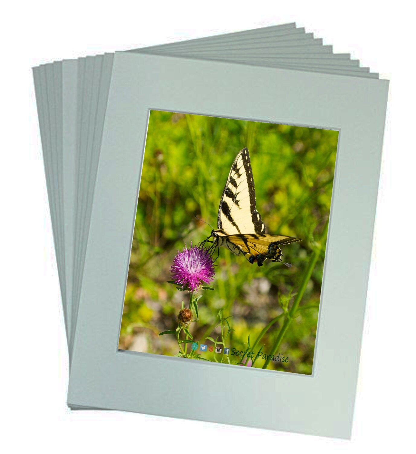 ART Butterfly Prints - Butterfly on Pink! Secret Paradise Garden