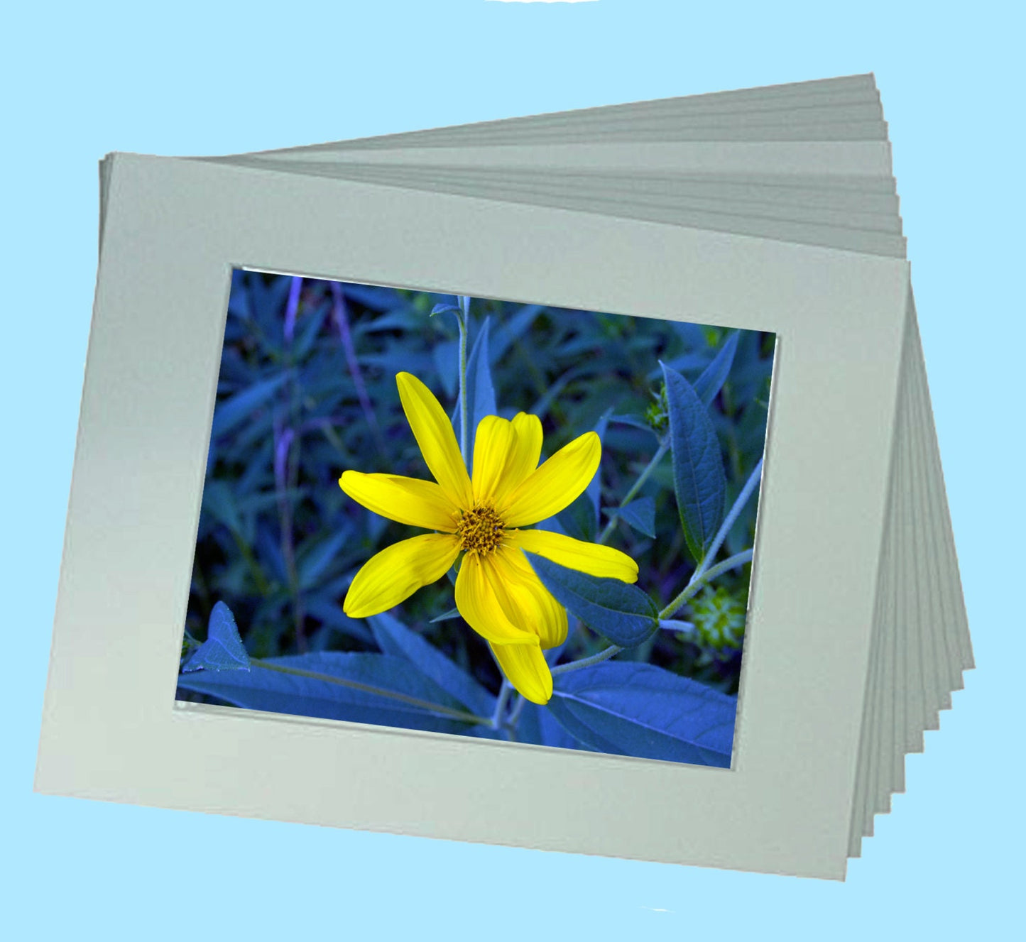 Fine Art Prints - Secret Paradise- "I'm Here"!