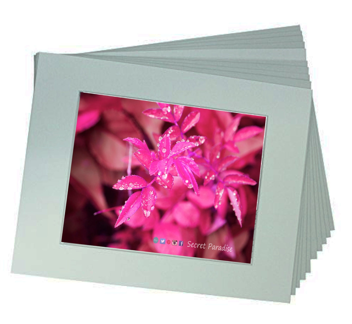 Fine Art Prints - "Pink Tears"- a Secret Paradise Garden