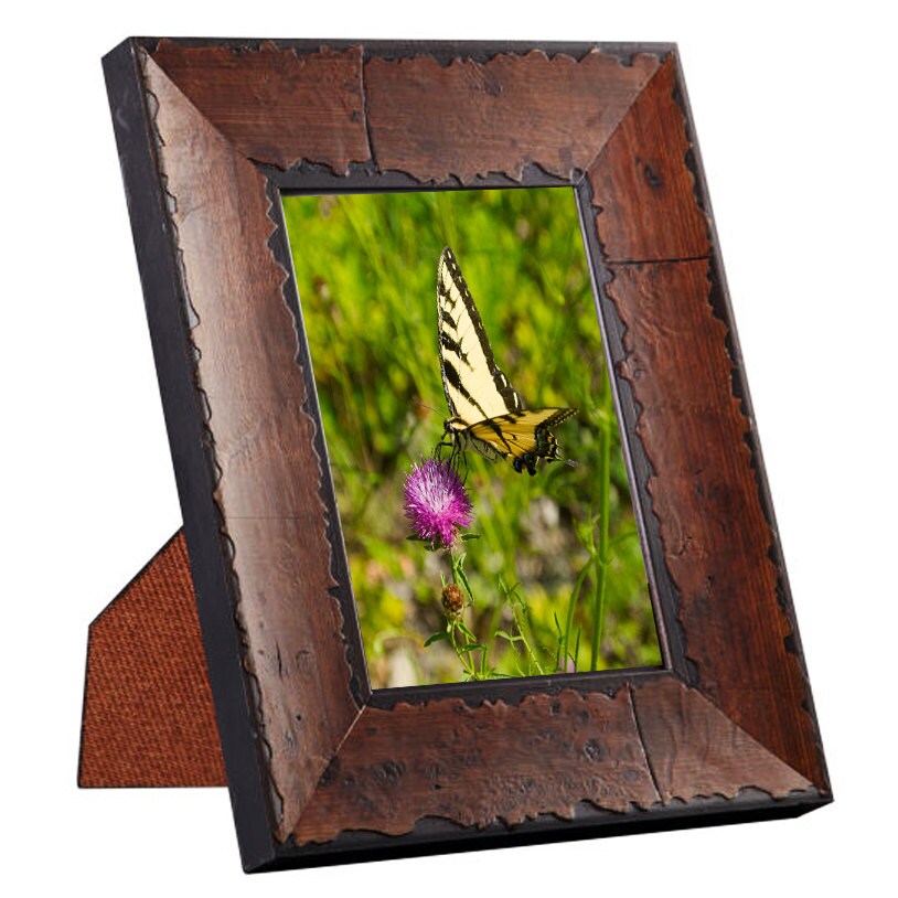 Art Prints - Butterflies from a Secret Paradise- Burl Frames
