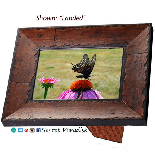 Art Prints - Butterflies from a Secret Paradise - Burl Frames