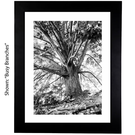 Black & White Art Photography - From a Secret Paradise - Framed Tree Art