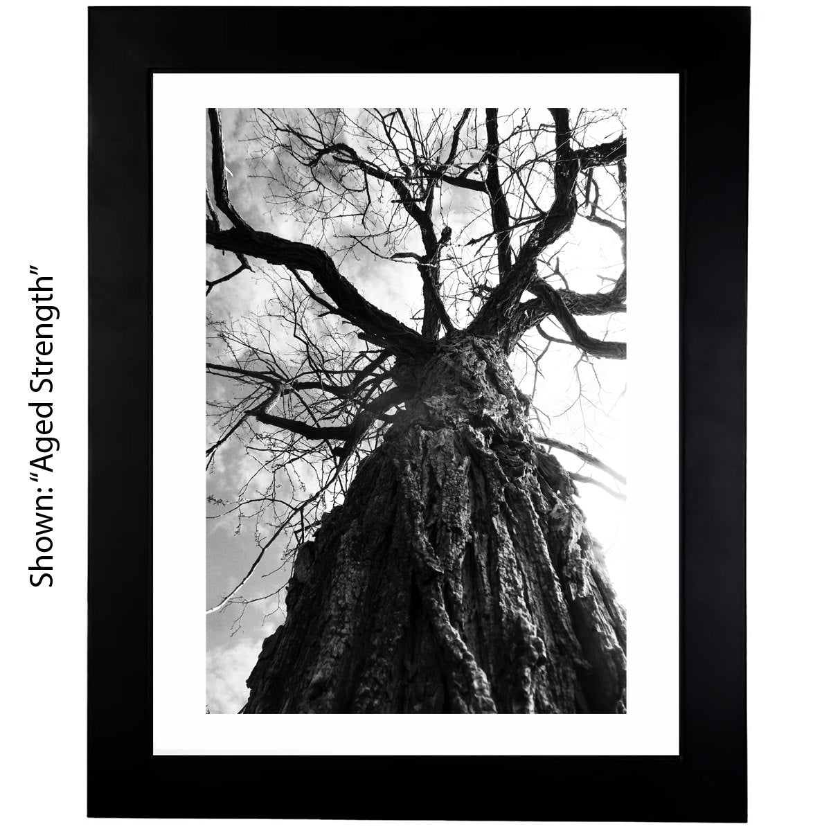 Black & White Art Photography - From a Secret Paradise - Framed Art