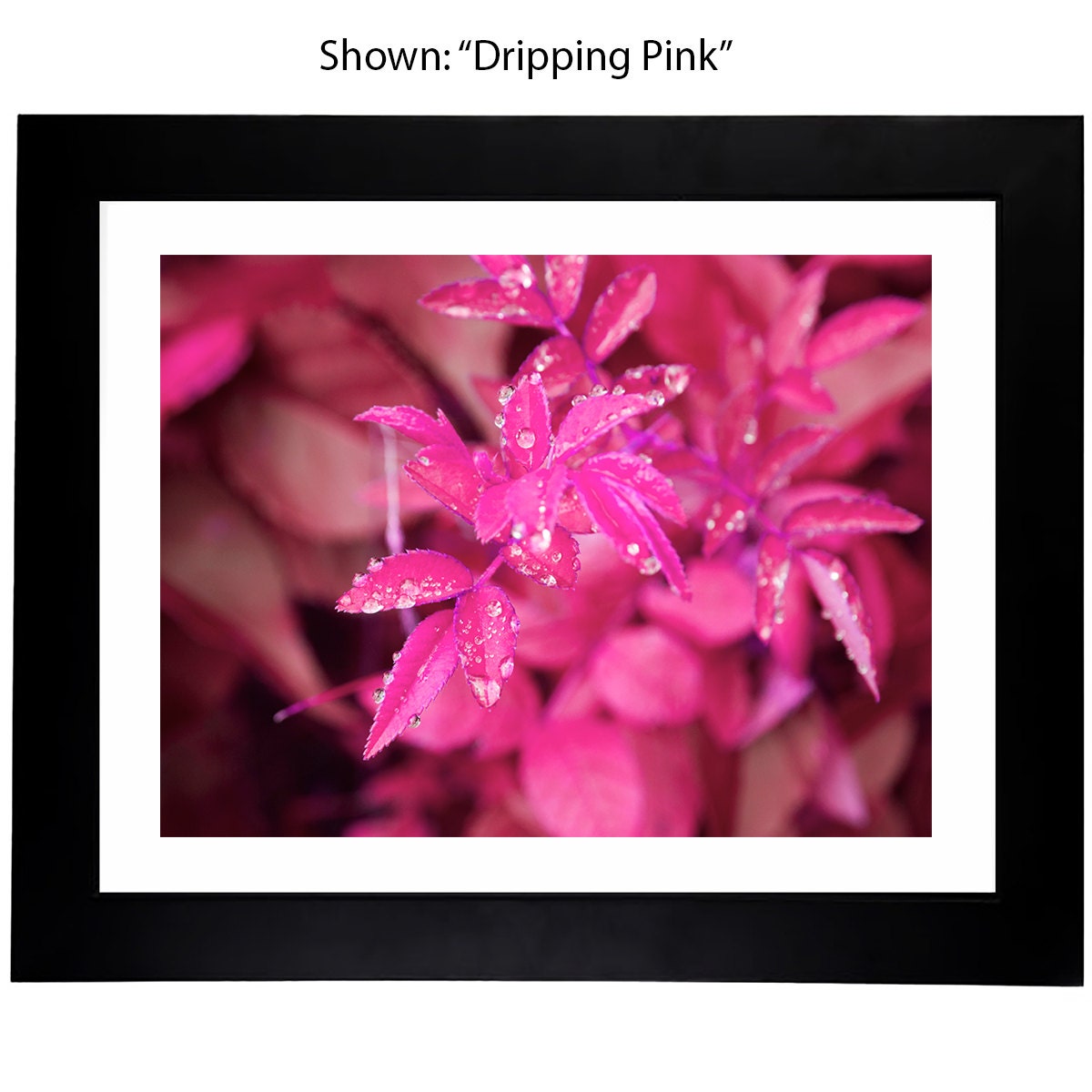 Art Prints - From a Secret Paradise - Framed Art