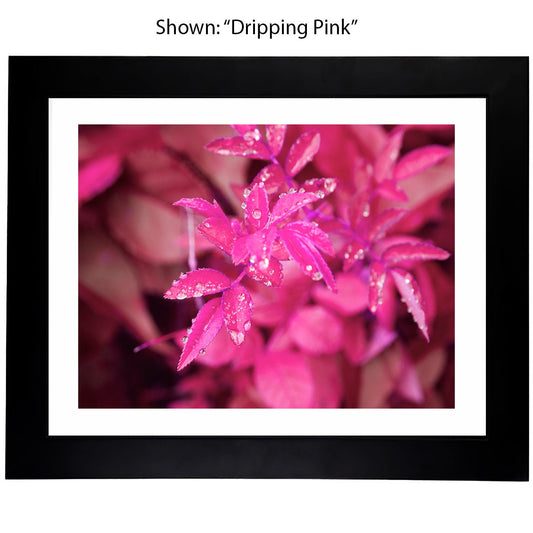 Art Prints - From a Secret Paradise - Framed Art
