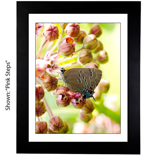 Art Prints - From a Secret Paradise - Framed Art classic black