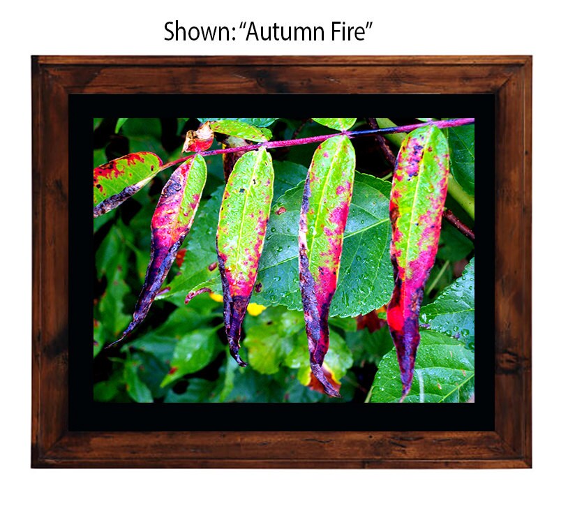 Art Prints - From a Secret Paradise - Primitive Wall Frame