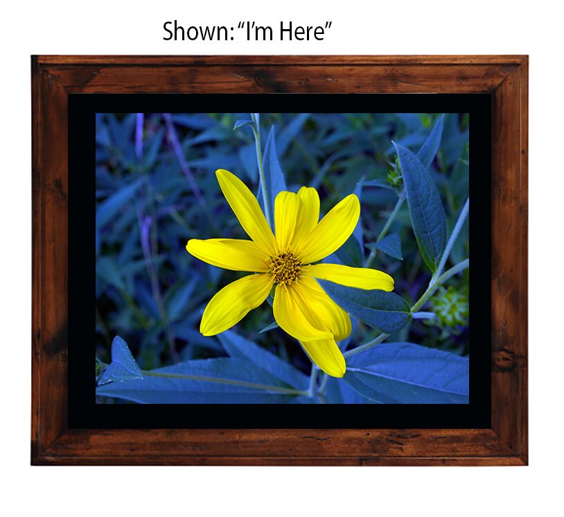 Art Prints - From a Secret Paradise - Primitive Wall Frame