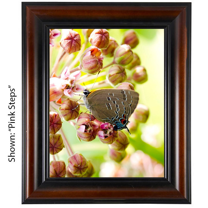 Art Prints - From a Secret Paradise - Brown Wall Frames