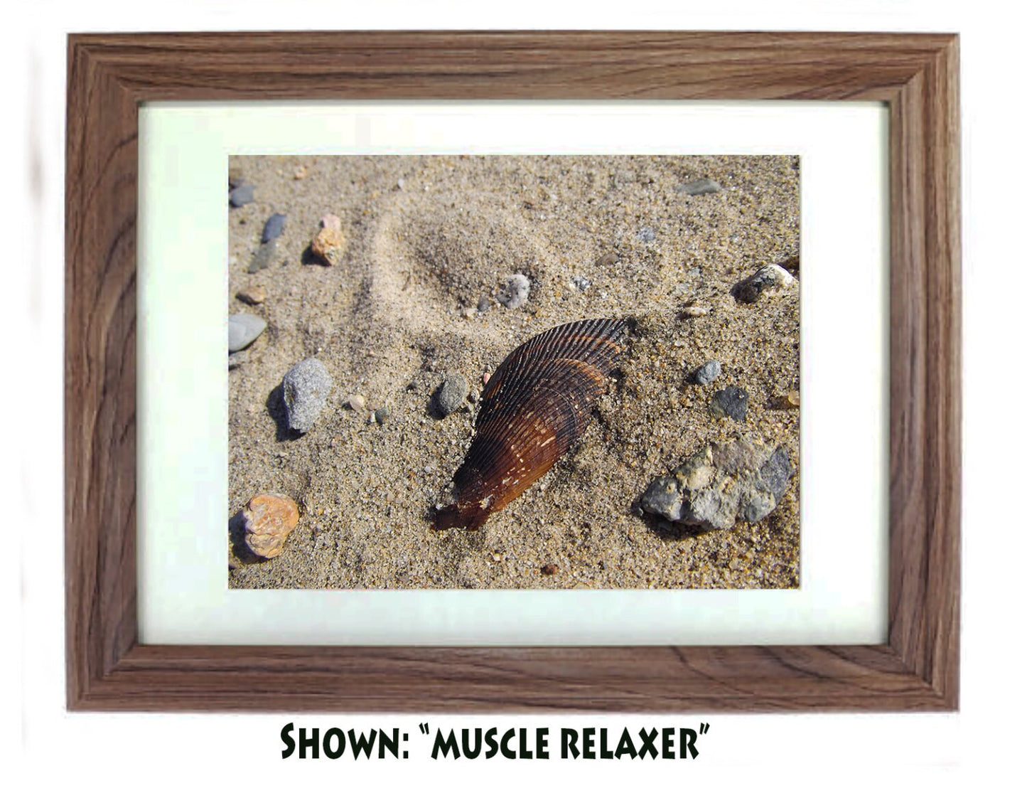 Beach Art Prints - From a Secret Paradise - Driftwood Beach Wall Frame