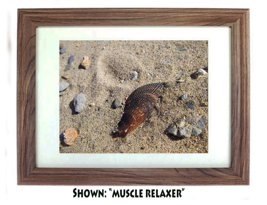 Beach Art Prints - From a Secret Paradise - Driftwood Beach Wall Frame