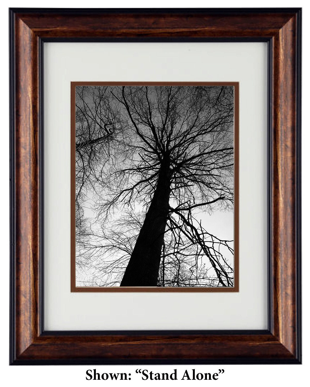 Fine Art Photography - Hardwood Wall Framed Art - Secret Paradise Trees