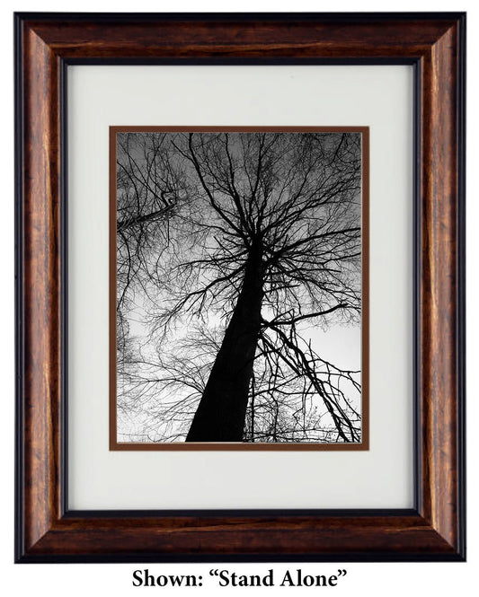 Fine Art Photography - Hardwood Wall Framed Art - Secret Paradise Trees