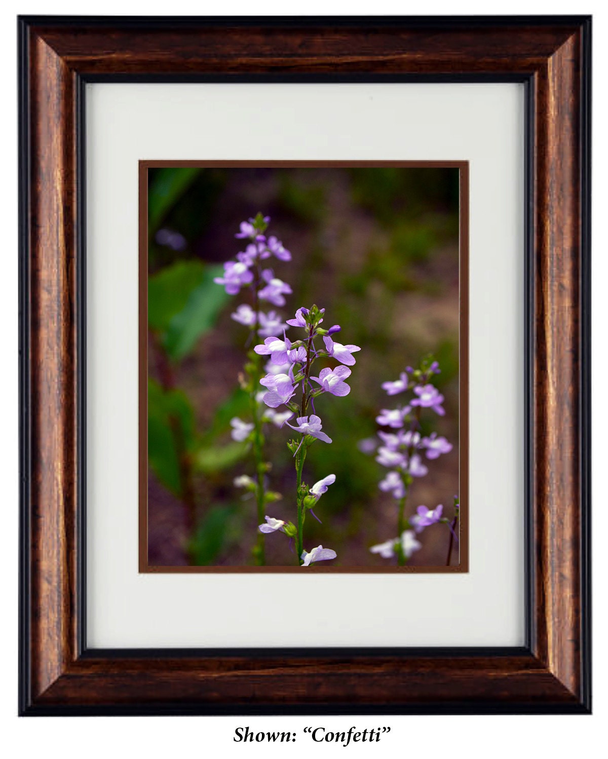 Fine Art Photography - Hardwood Wall Framed Art - Secret Paradise4