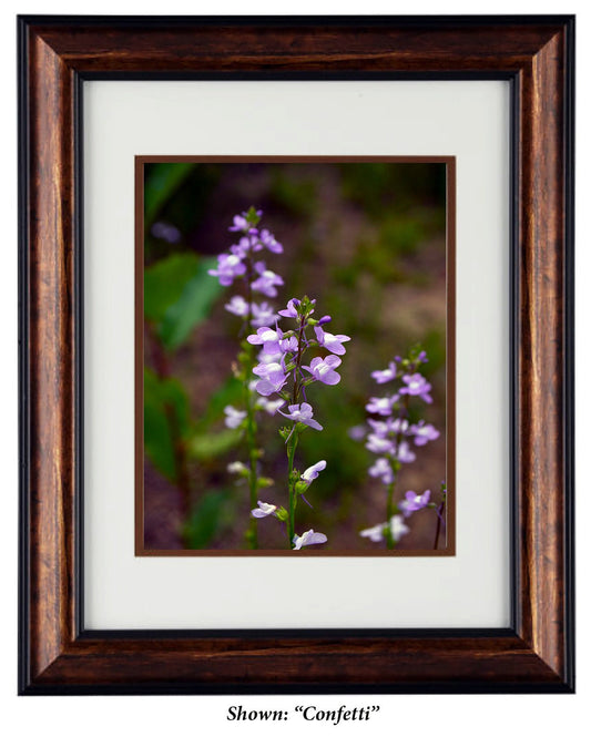 Fine Art Photography - Hardwood Wall Framed Art - Secret Paradise4
