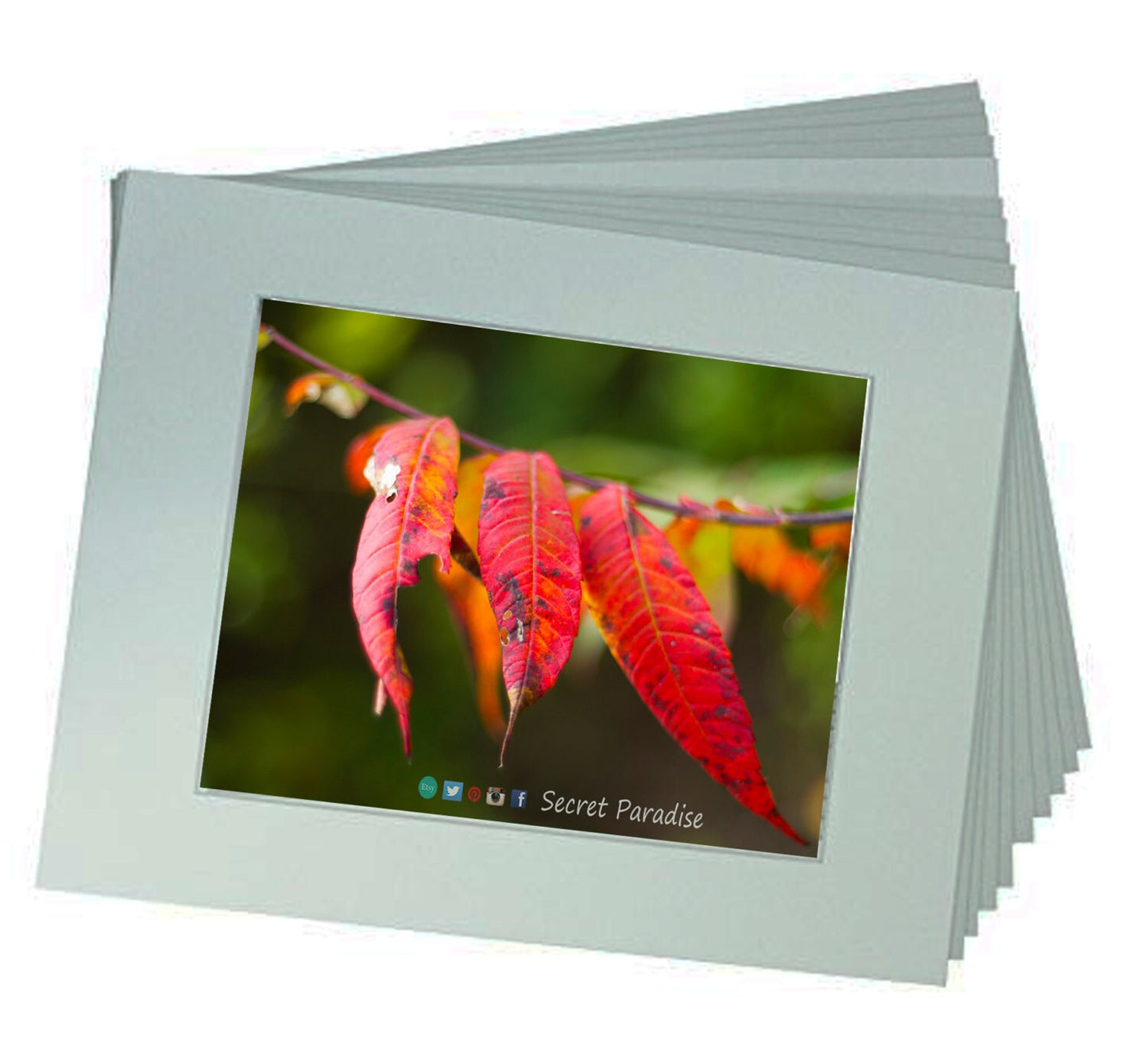 Autumn Art Prints from a Secret Paradise Shop