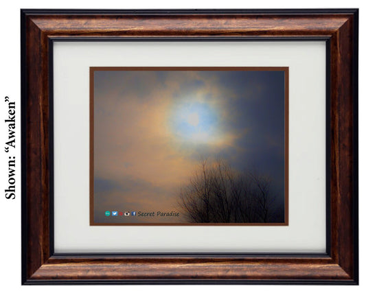 Fine Art Photography - Hardwood Wall Framed Art - Secret Paradise Trees