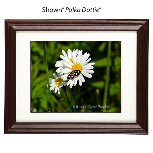 Wall Art Photography - From a Secret Paradise - Cherry Framed Art