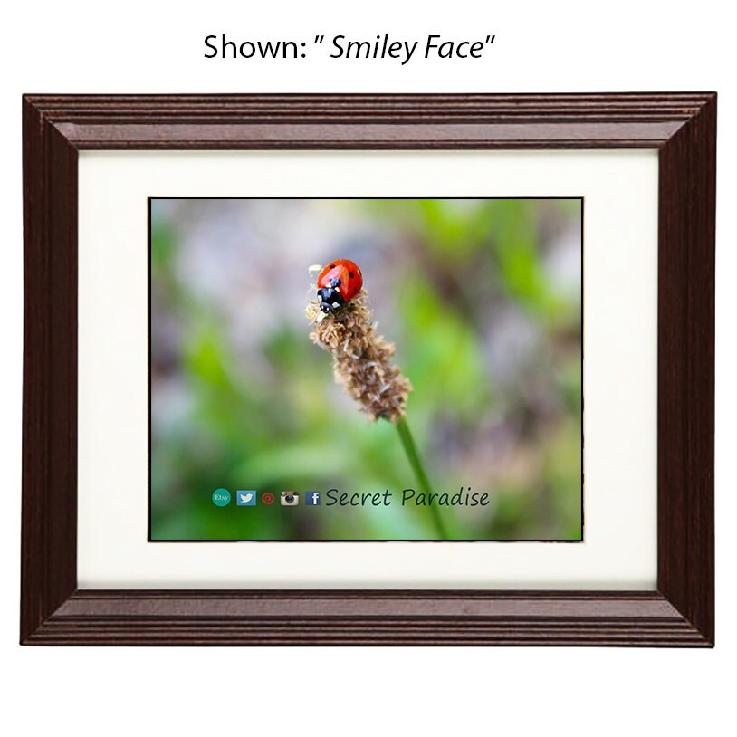 Art Photography - From a Secret Paradise - Cherry Framed Art