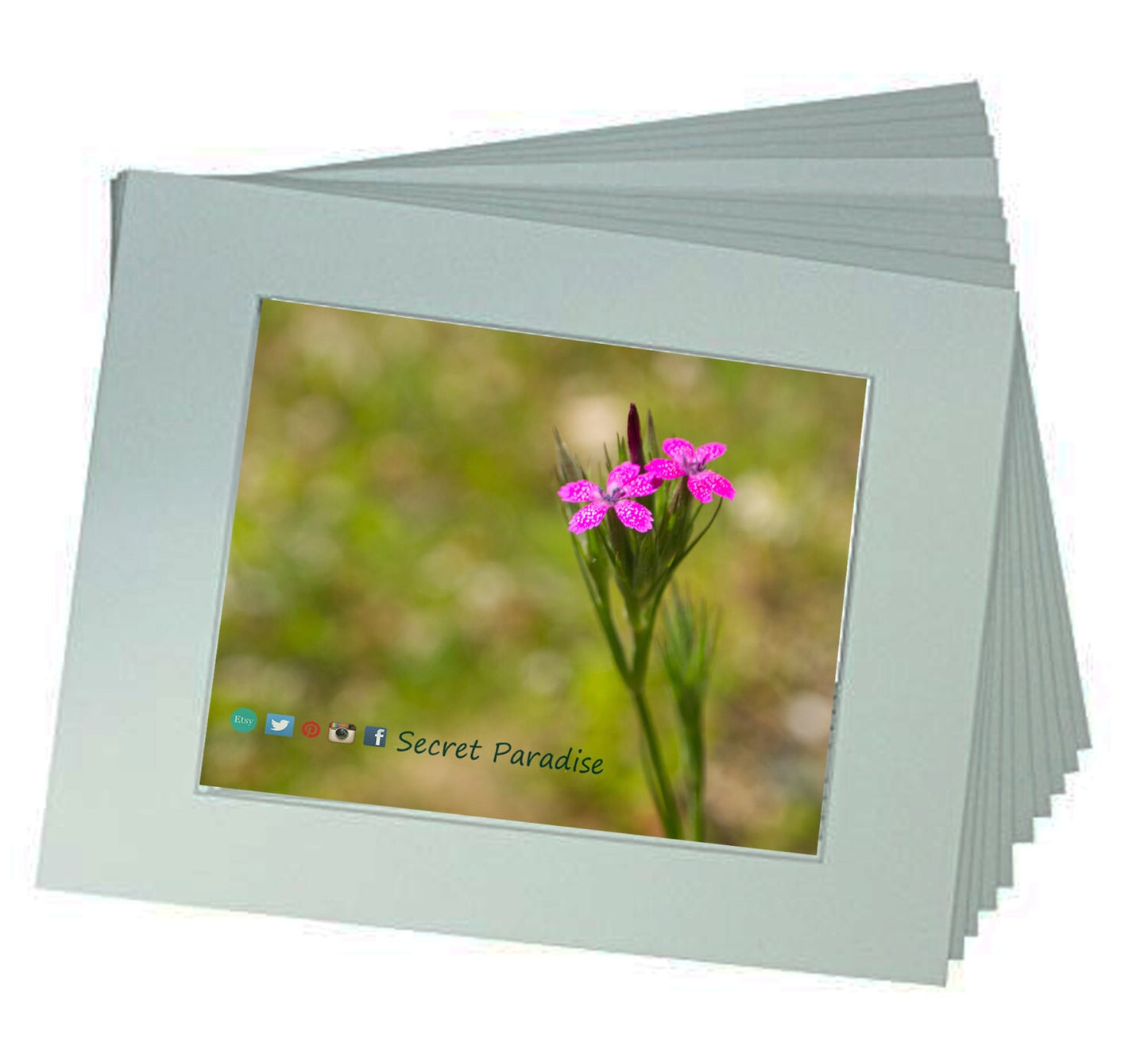 Art Prints from a Secret Paradise Garden