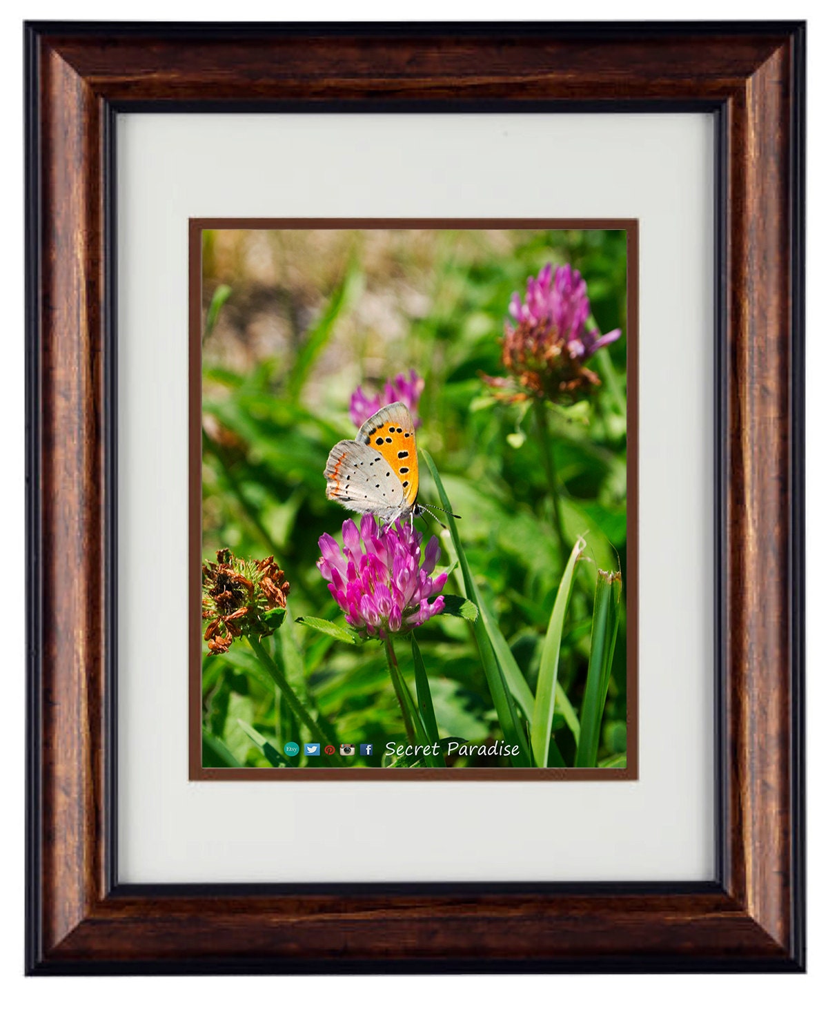 Nature Photography - Hardwood Wall Framed Art from a Secret Paradise