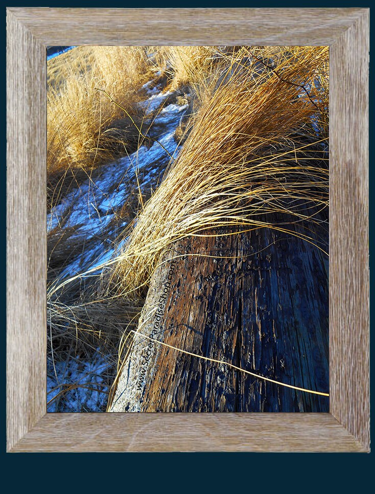 Wall Art Prints - Cape Cod beach & sand Collection -From a Secret Paradise - Vintage Barnwood Wall Frame