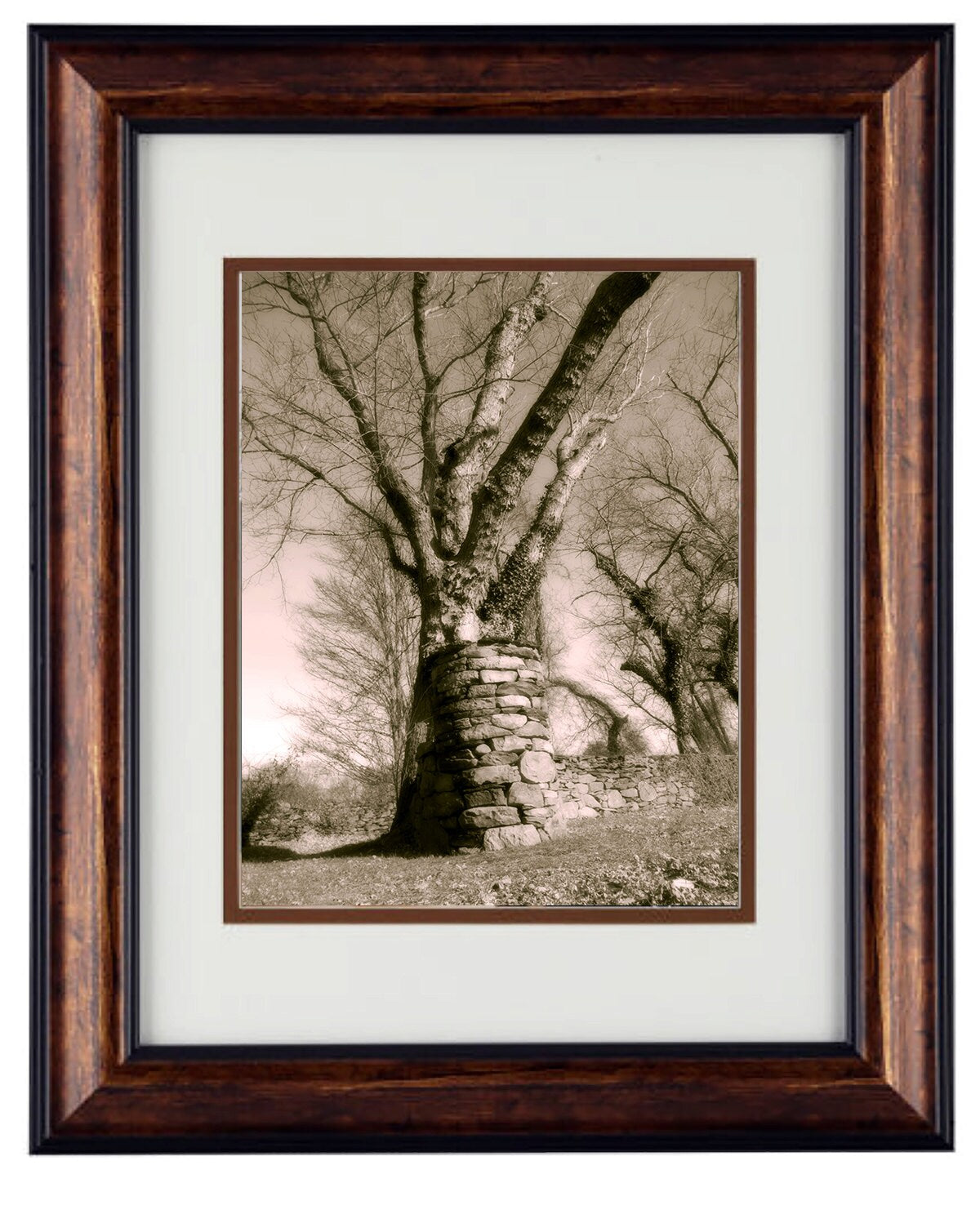 Fine Art Photography - Hardwood Wall Framed Art - Secret Paradise Trees