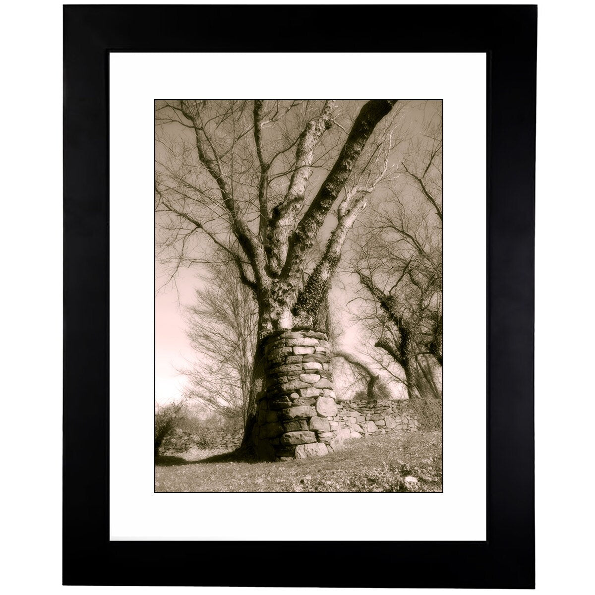 Black & White Art Photography - From a Secret Paradise - Framed Tree Art