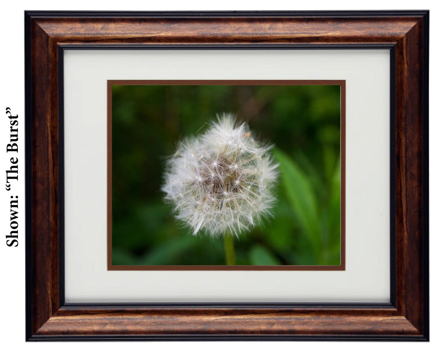 Hardwood Wall Framed Art  Prints from a secret paradise