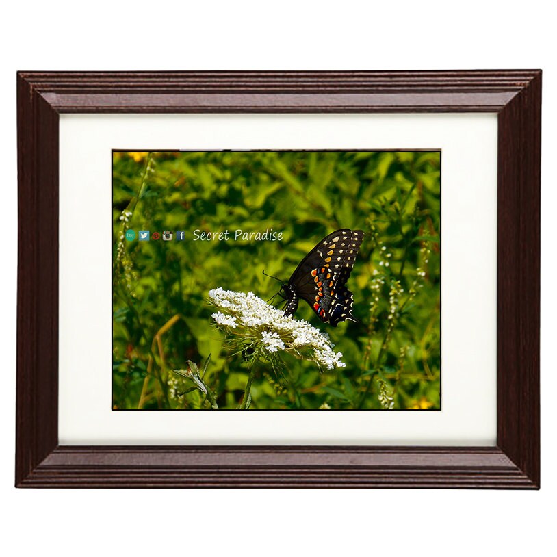 Wall Art Photography - From a Secret Paradise - Cherry Framed Art