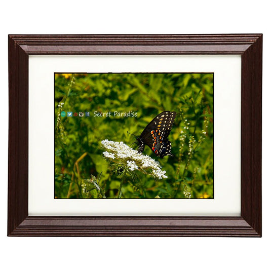 Wall Art Photography - From a Secret Paradise - Cherry Framed Art