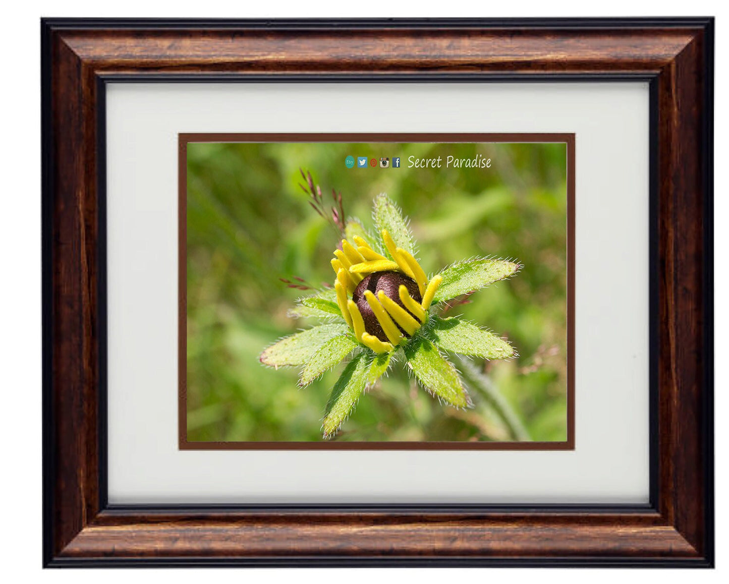 Fine Art Photography - Hardwood Wall Framed Art - Secret Paradise5