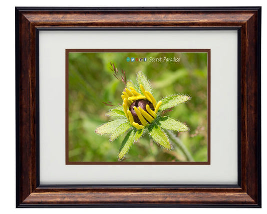 Fine Art Photography - Hardwood Wall Framed Art - Secret Paradise5